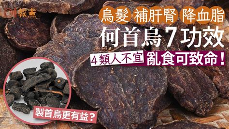 何首烏藥膳功效|何首烏 的功效與作用有哪些？完整解析！